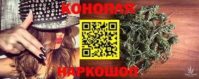 сатива Будённовск
