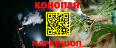 сатива Будённовск