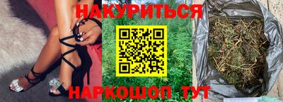 сатива Будённовск