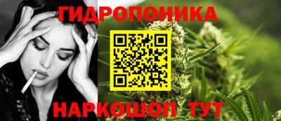 сатива Будённовск