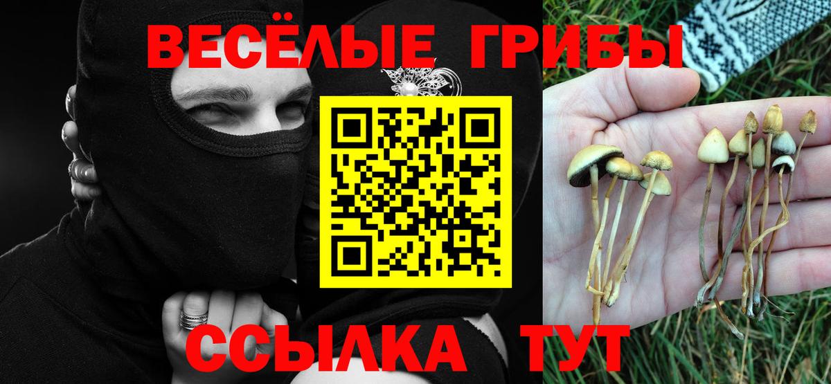 Петрозаводск  сколько стоит  Вход с VPN  Галлюциногенные грибы GOLDEN TEACHER 
