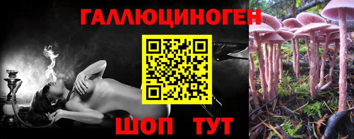 Псилоцибиновые грибы GOLDEN TEACHER Петрозаводск